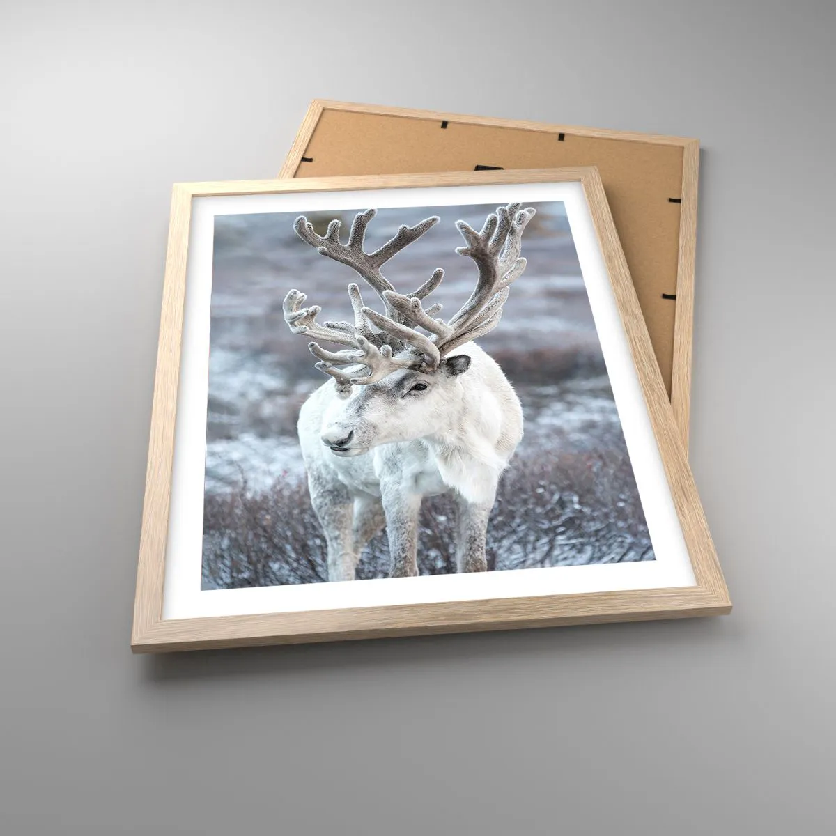 Plakat i ramme af lyst egetræ - Portræt i solen - 40x50 cm