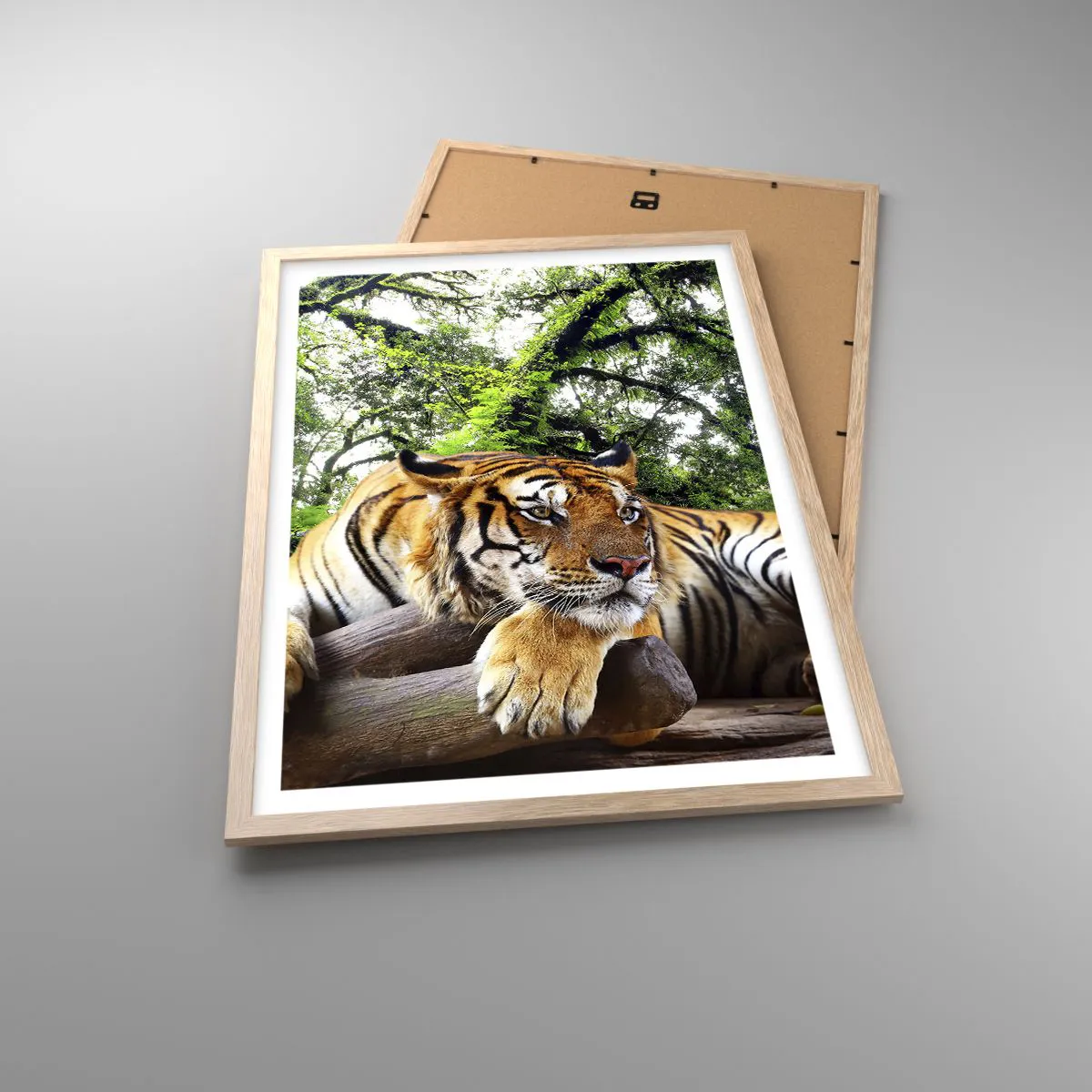 Poster in cornice rovere chiaro - Con espressioni di stima - 50x70 cm