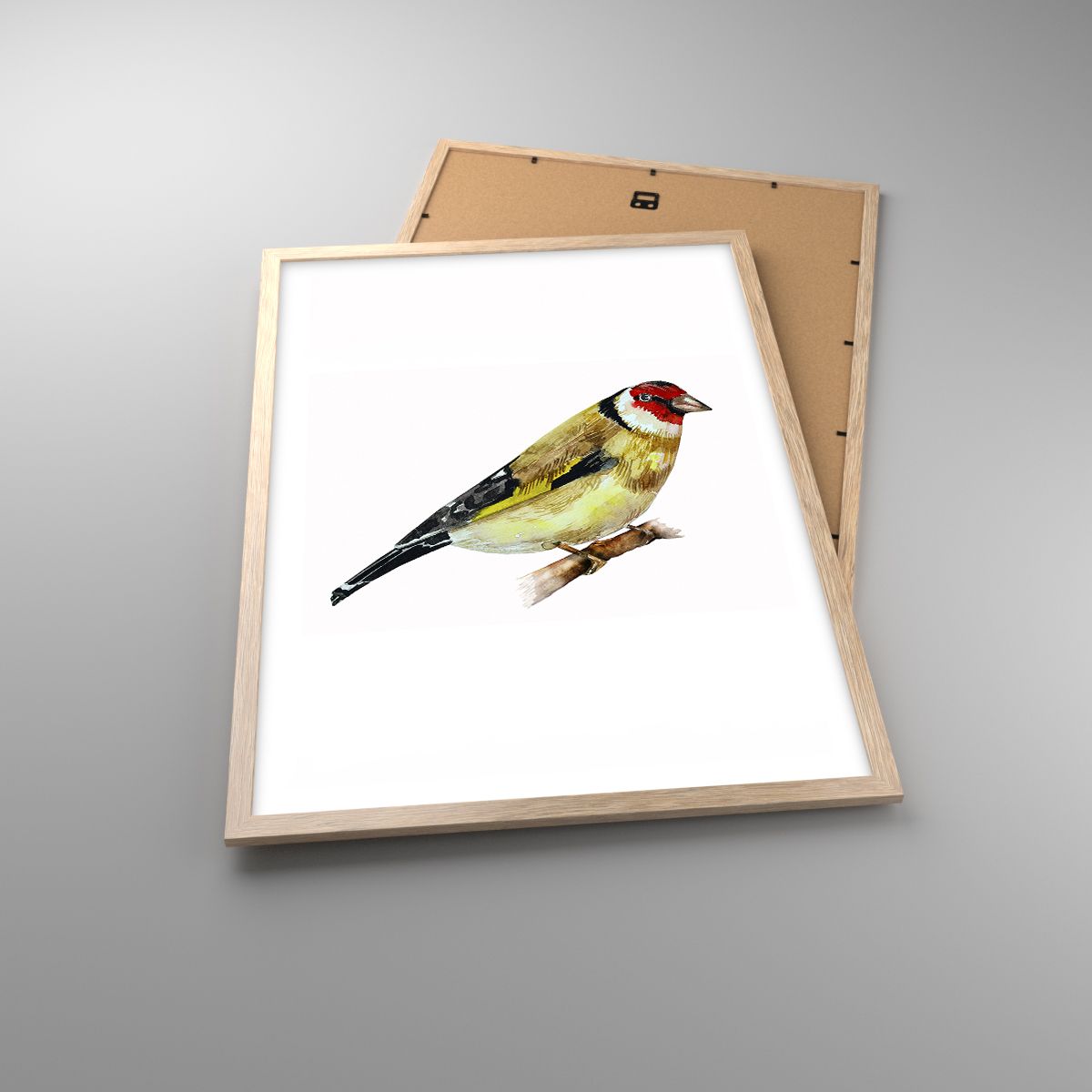 Plakaty Szczygieł, Plakaty Ptak, Plakaty Sztuka, Plakaty Zwierzęta, Plakaty Malarstwo