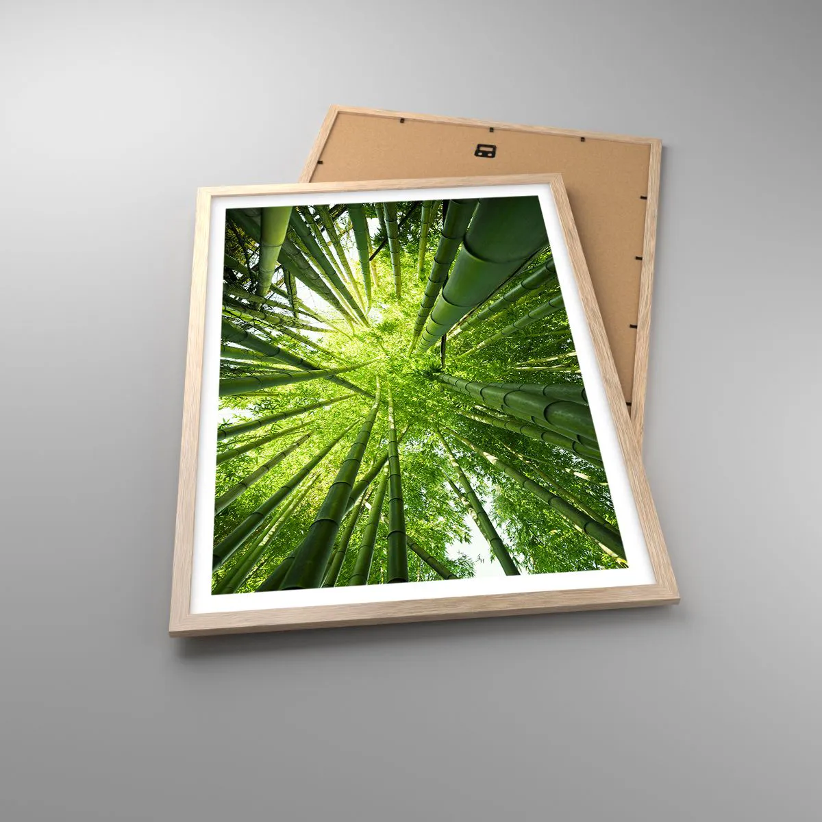 Póster en marco roble claro - En un bosquecillo de bambú - 50x70 cm