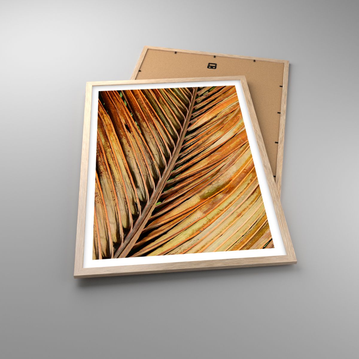 Plagát Kokosová Palma, Plagát Palmové Listy, Plagát Džungle, Plagát Príroda, Plagát Kvety