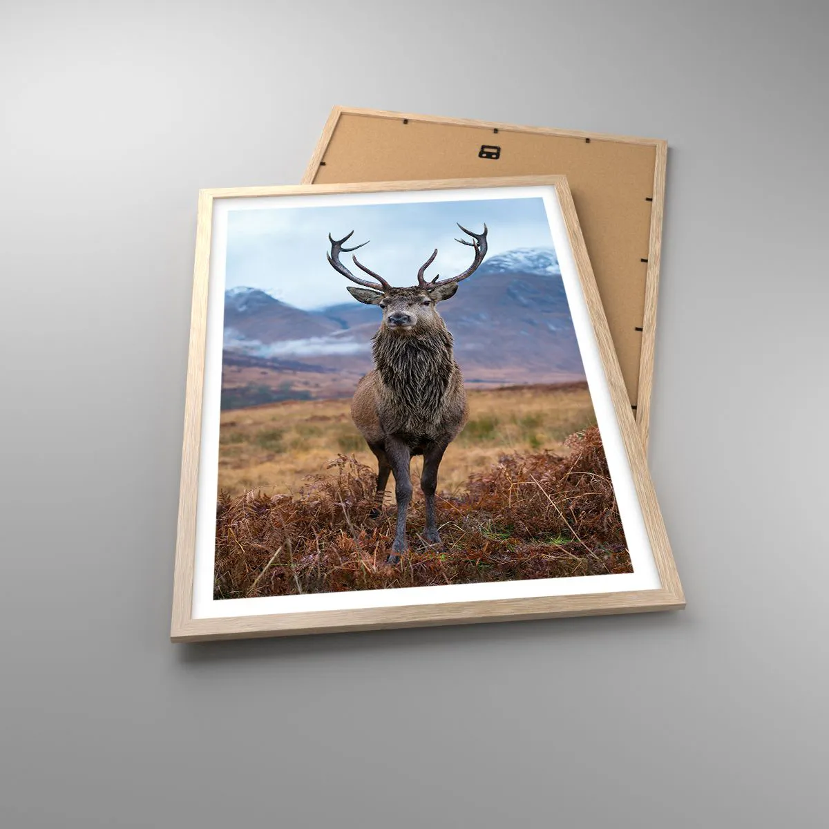 Poszter világos tölgy keretben - Saját földön - 50x70 cm