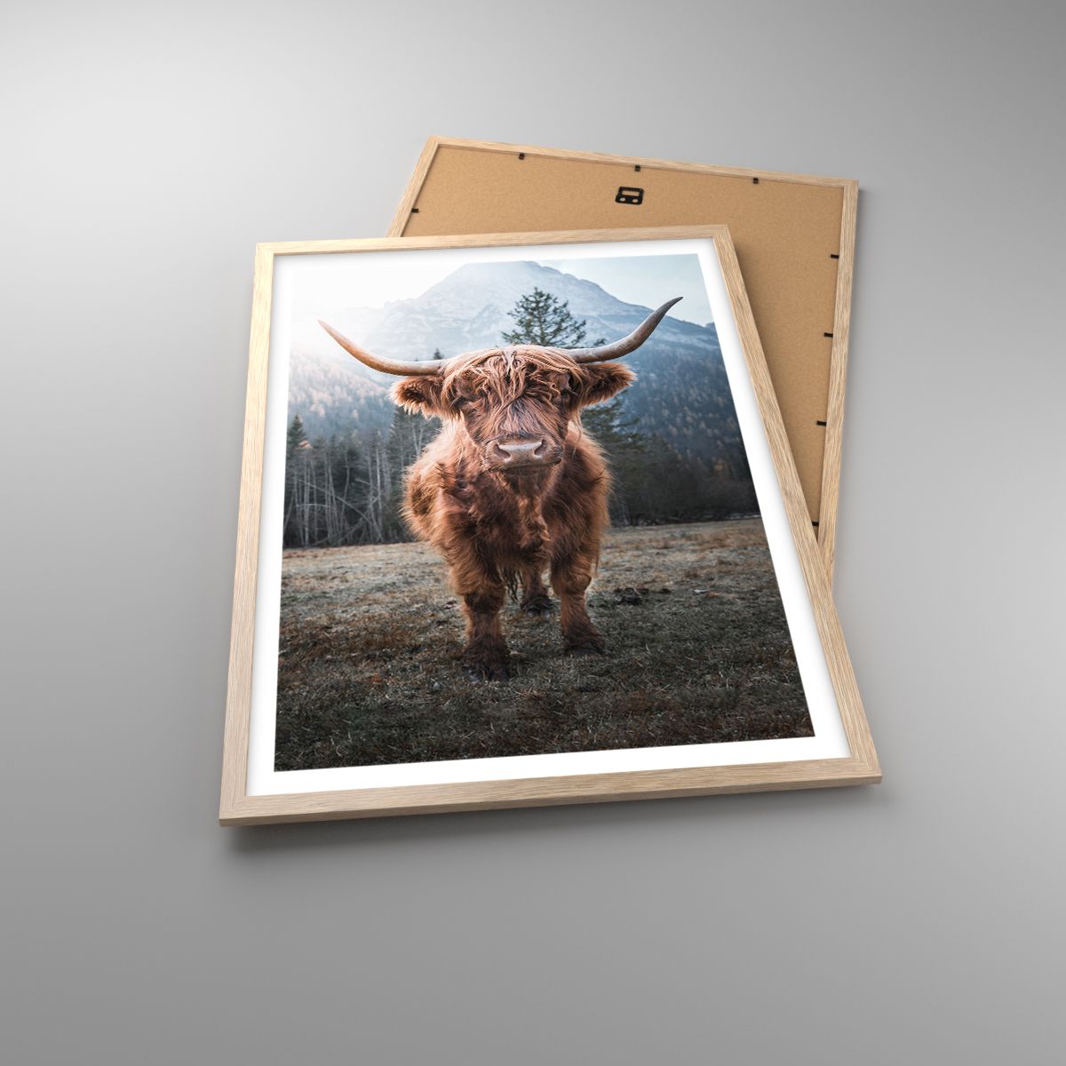 Poster Berge, Poster Schottische Kuh, Poster Weide, Poster Tiere, Poster Landschaft