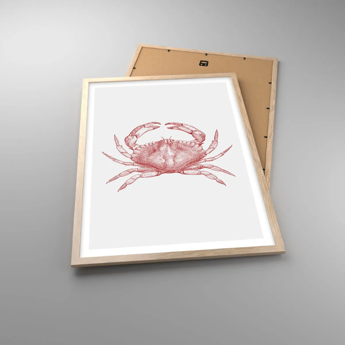 Plakat w ramie jasny dąb - Krab nad kraby - 50x70 cm