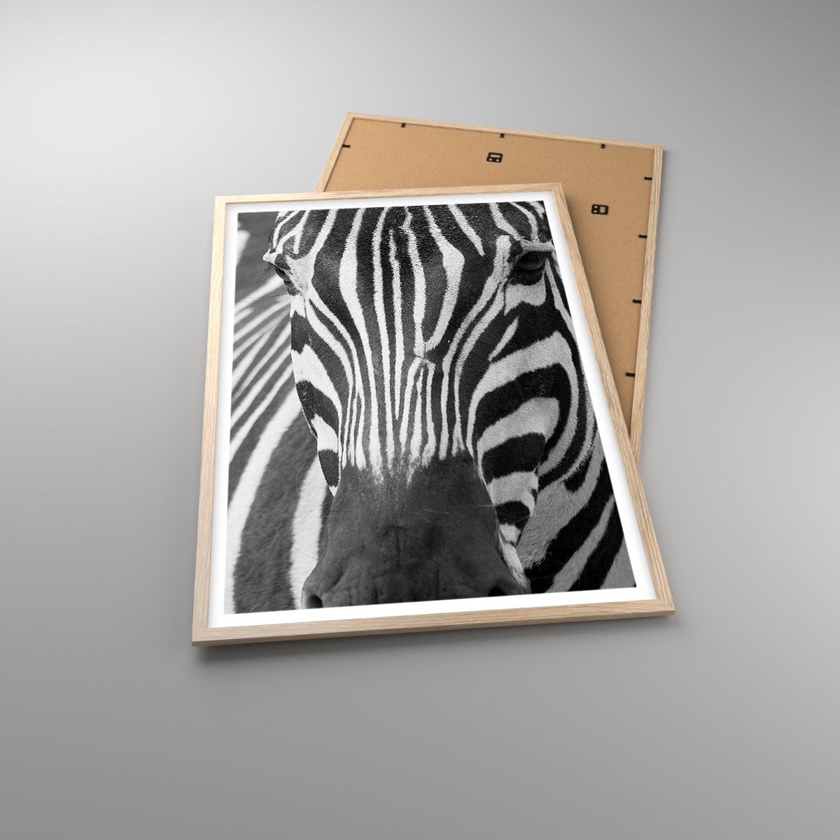 Affiche Animaux, Affiche Côtes, Affiche Noir Et Blanc, Affiche Afrique, Affiche Safari