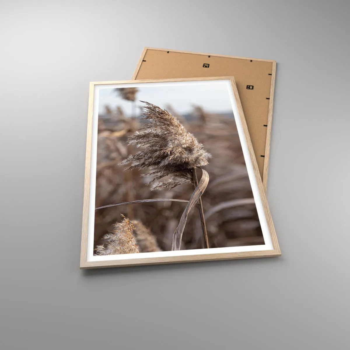 Poster in light oak frame - Time to Fly with the Wind - 61x91 cm