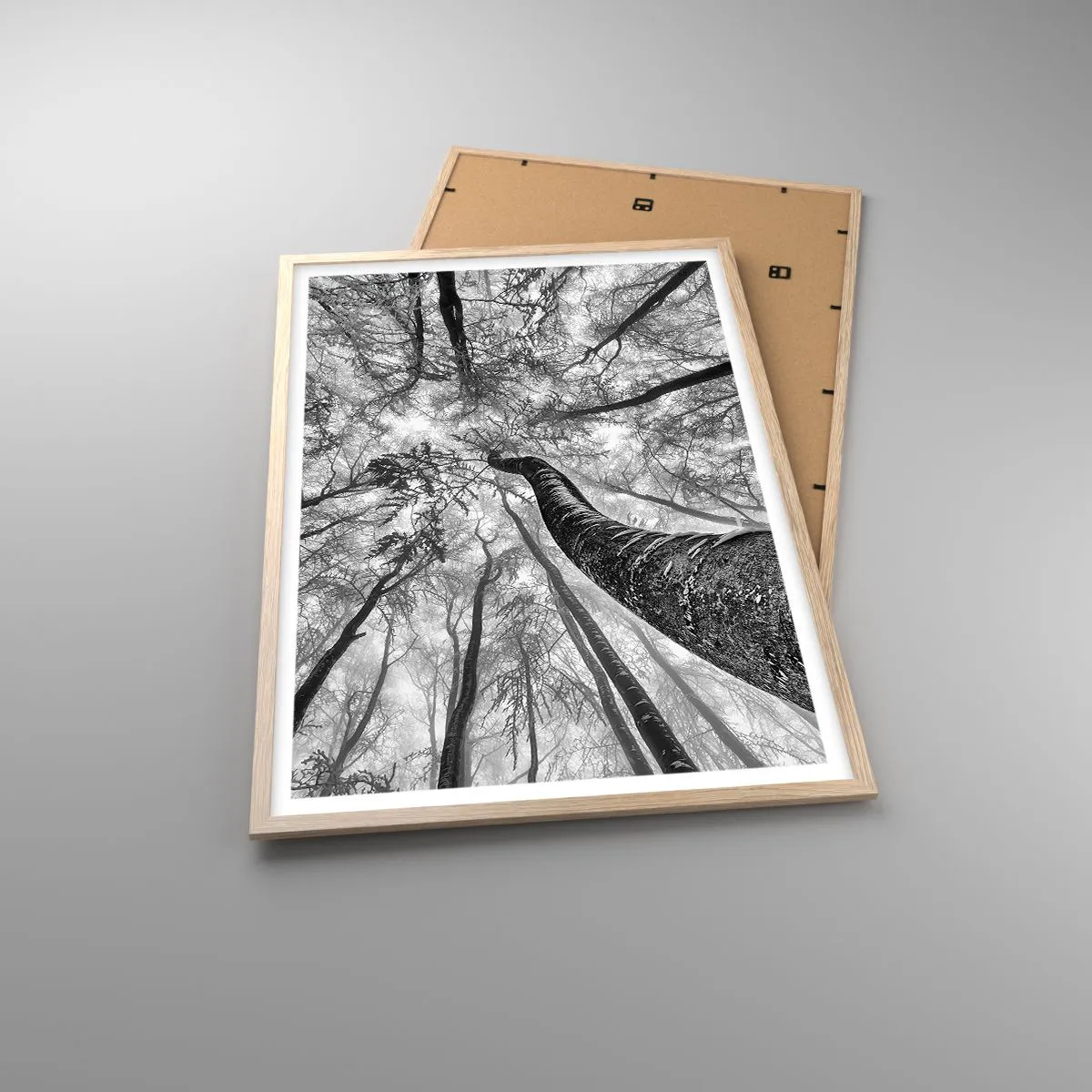 Plakat i ramme af lyst egetræ - Kapløb mod lyset - 61x91 cm