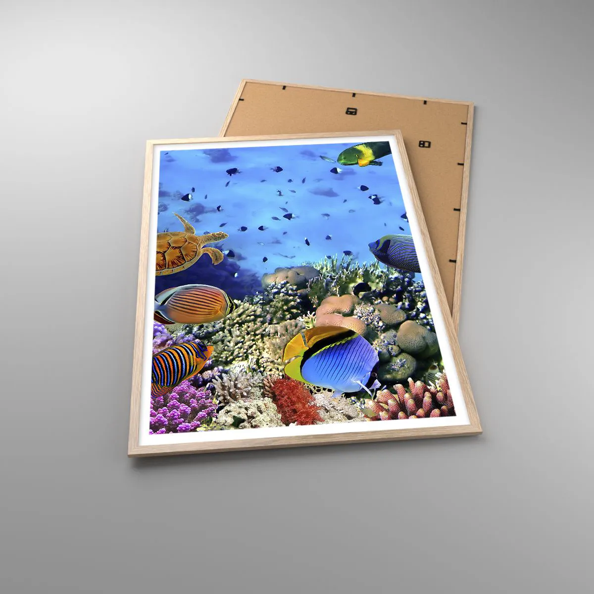 Affiche dans un chêne clair - Poster - Et que sait-on de la vie… - 70x100 cm