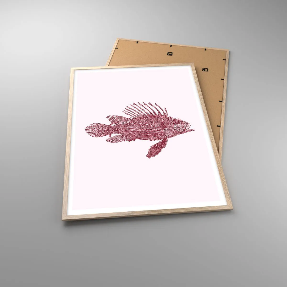 Affisch i ram av ljusek - En invånare i exotiska vatten - 70x100 cm