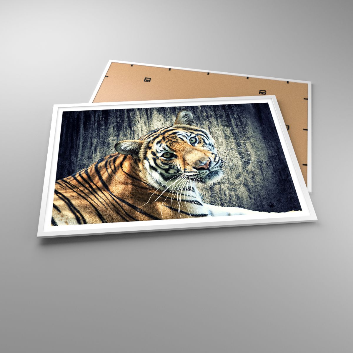 Affiche Animaux, Affiche Tigre, Affiche Afrique, Affiche Animal Sauvage, Affiche Inde