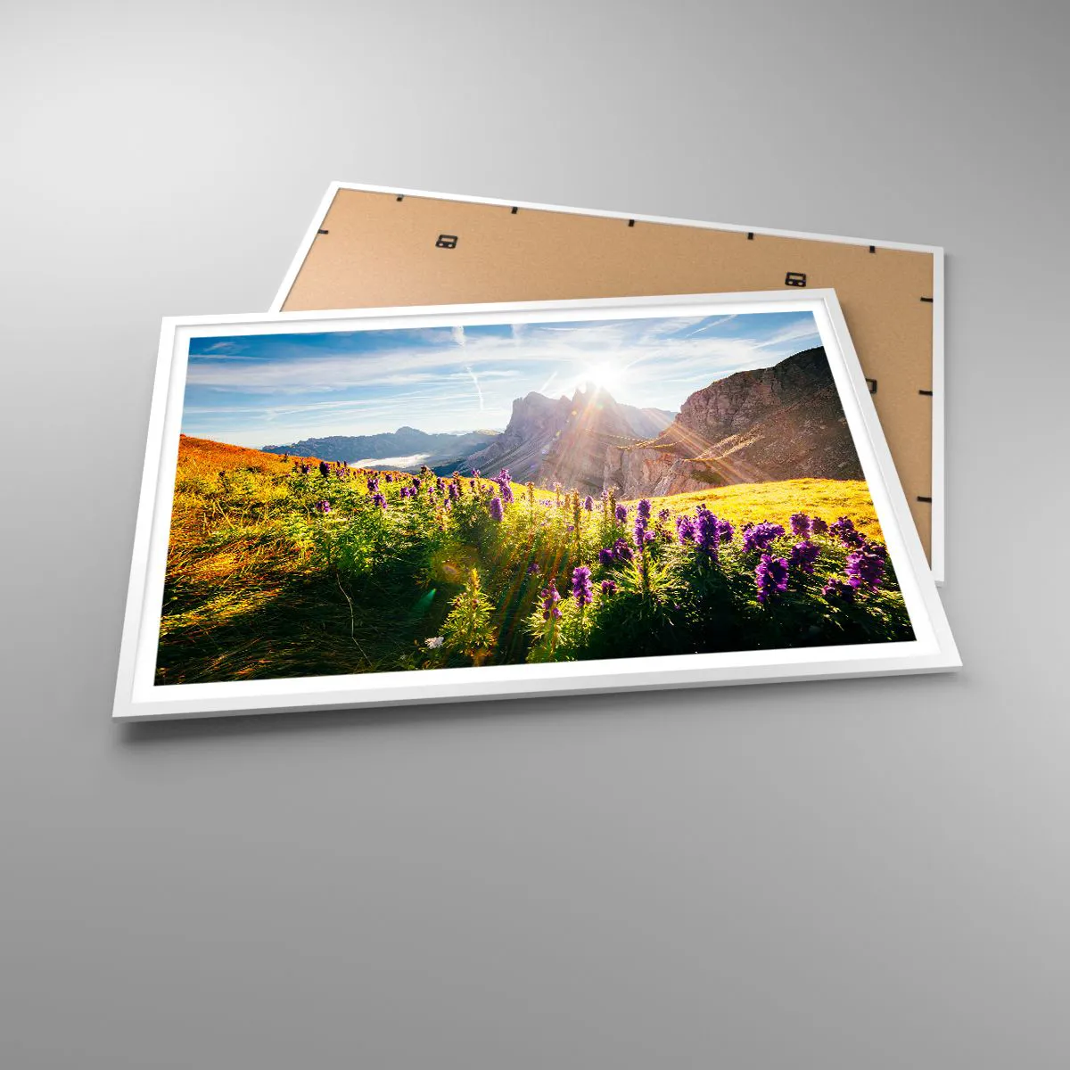 Plakat w białej ramie - Sekretne życie ziół - 100x70 cm