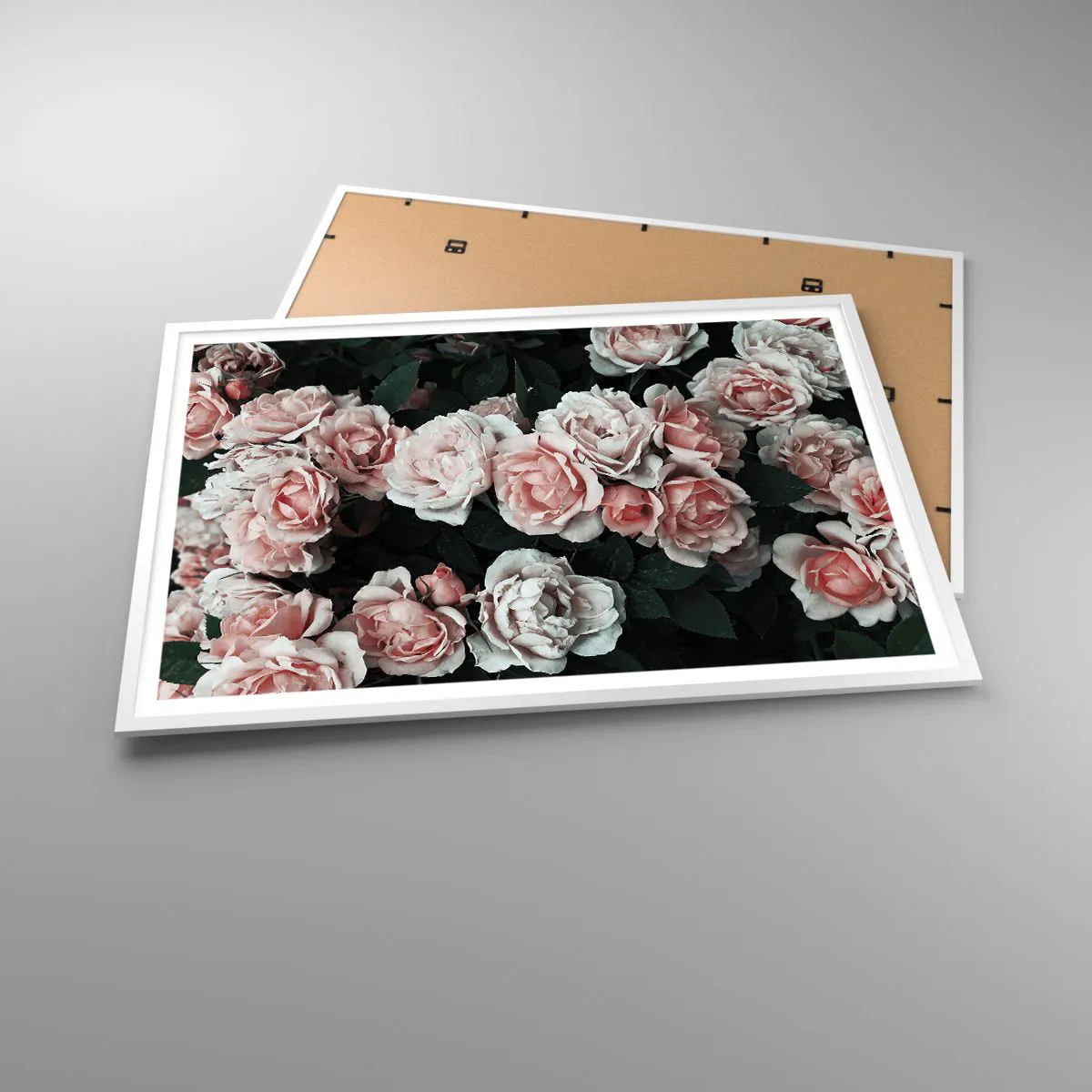 Poster in einem weißen Rahmen - Rosen-Ensemble - 100x70 cm