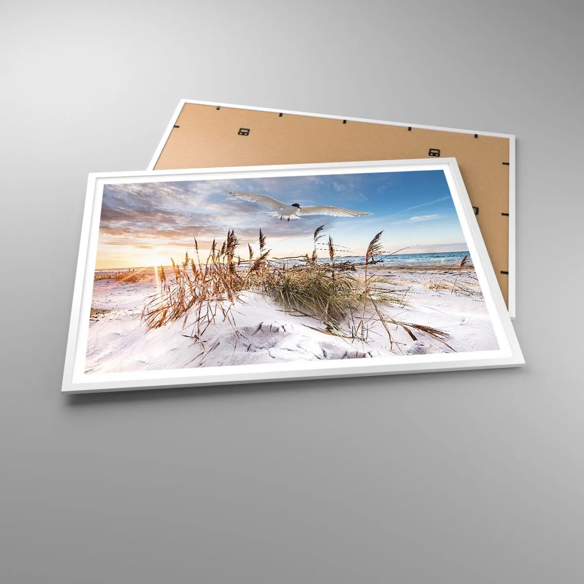 Affisch i vit ram - Vind från havet - 100x70 cm