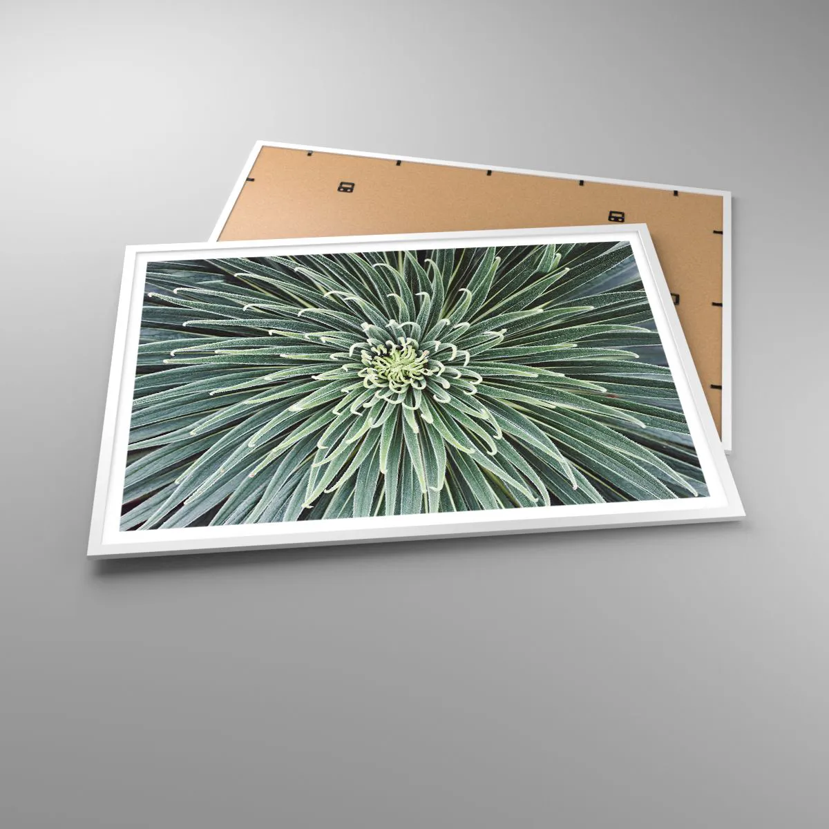 Plakat w białej ramie - Narodziny gwiazdy - 100x70 cm