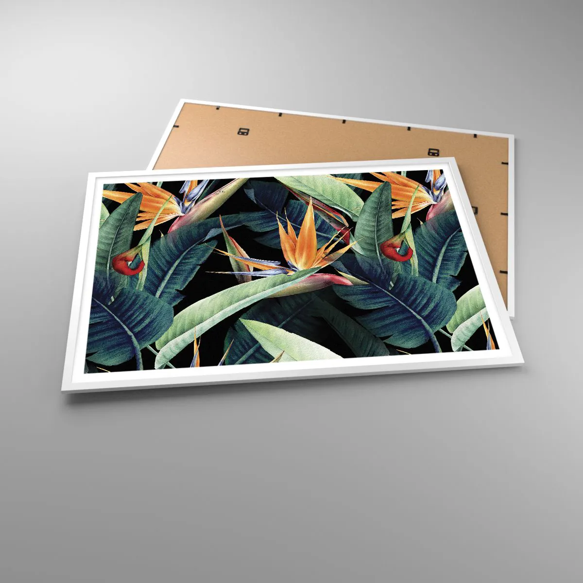 Poster in einem weißen Rahmen - Flammende Blumen der Tropen - 100x70 cm
