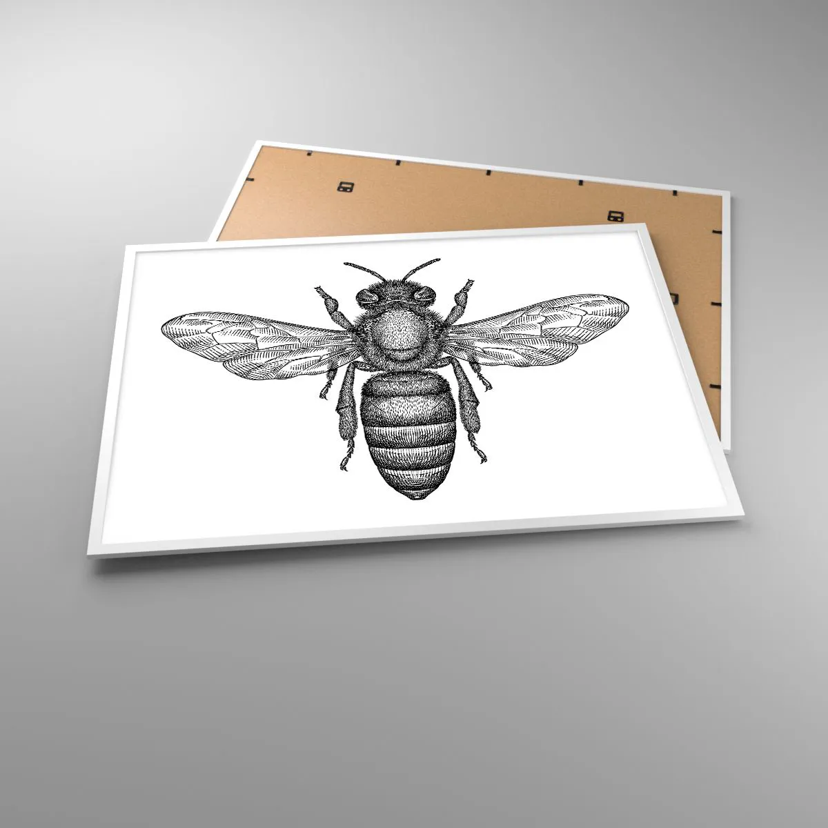 Poster in einem weißen Rahmen - Insektenporträt - 100x70 cm