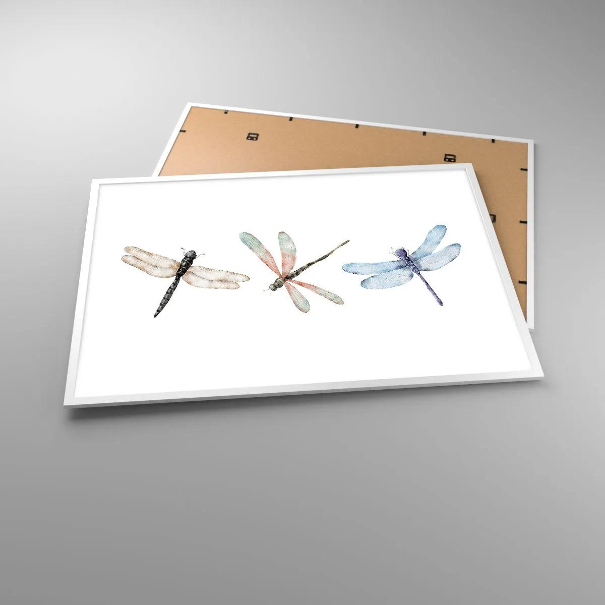 Poster în ramă albă - Libelule imponderabile - 100x70 cm