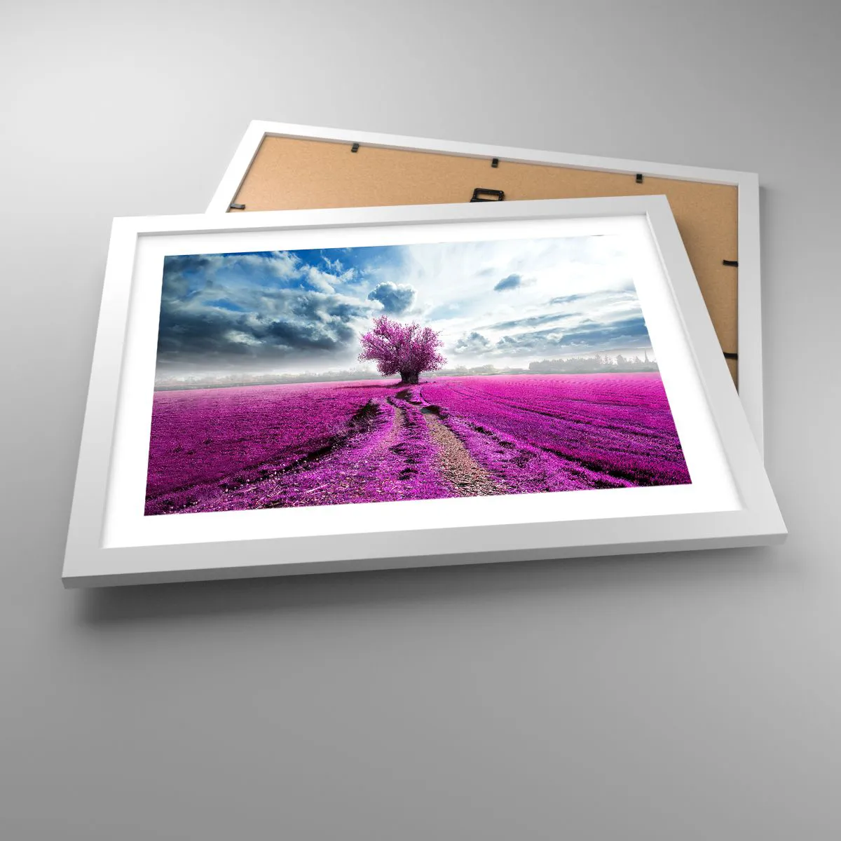 Affiche dans un cadre blanc - Poster - Lande - nature sauvage - 40x30 cm