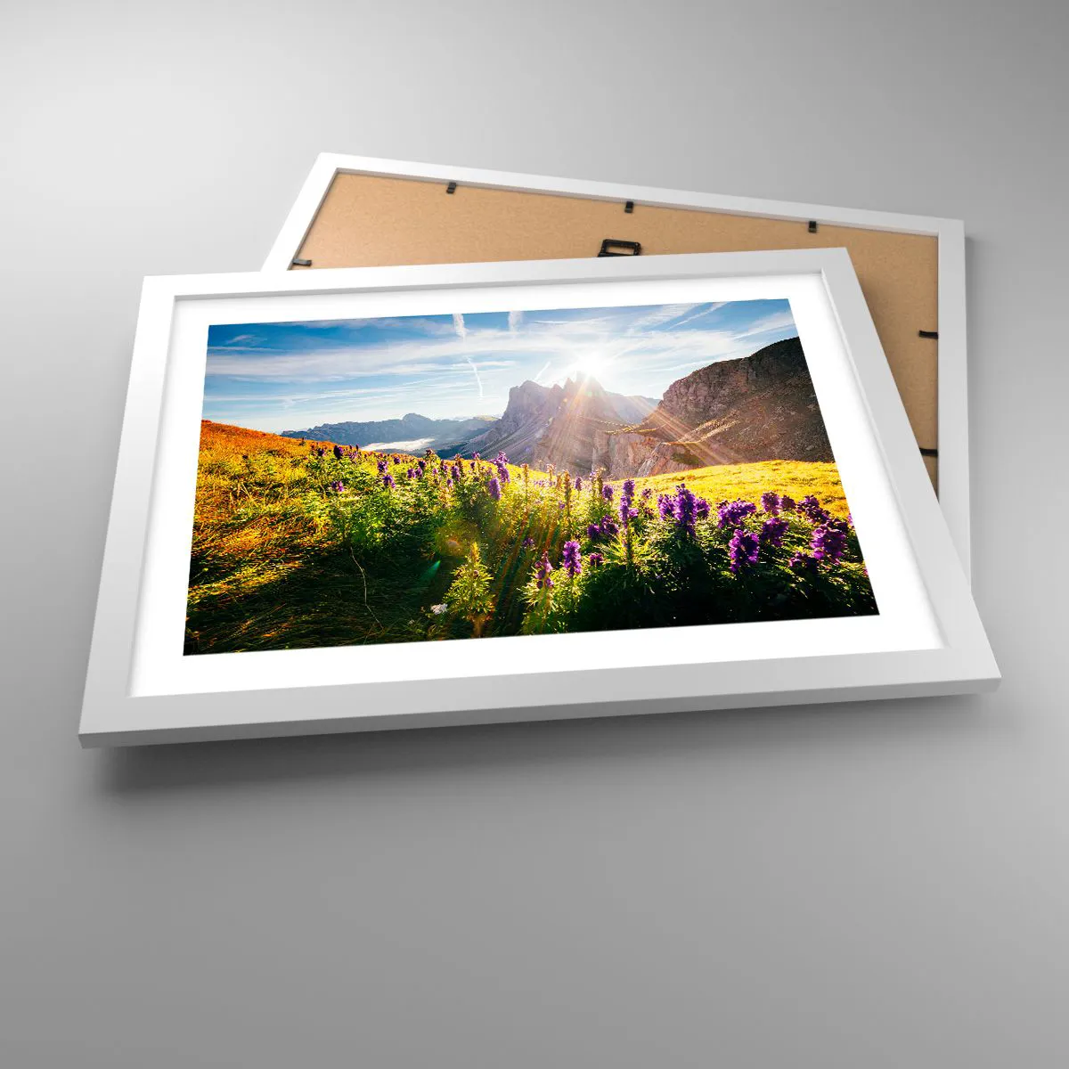 Plagát v bielom ráme - Tajomný život bylín - 40x30 cm