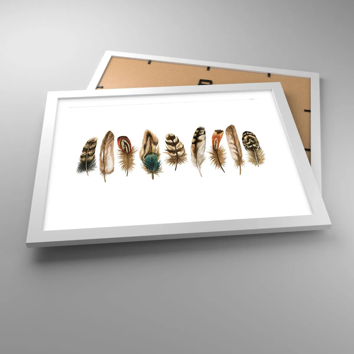 Poster in white frmae - Feather Variation - 40x30 cm