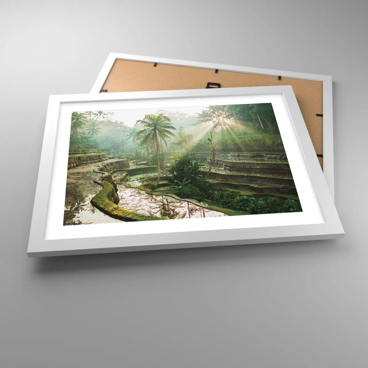 Plakát v bílém rámu - Vyrůstát na slunci - 40x30 cm