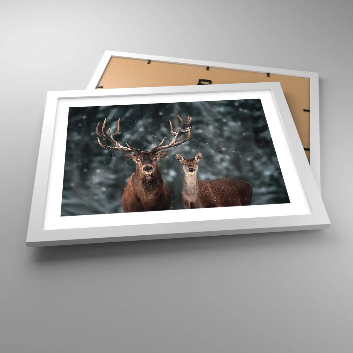 Poster in einem weißen Rahmen - Herr des Waldes mit seiner Frau - 40x30 cm