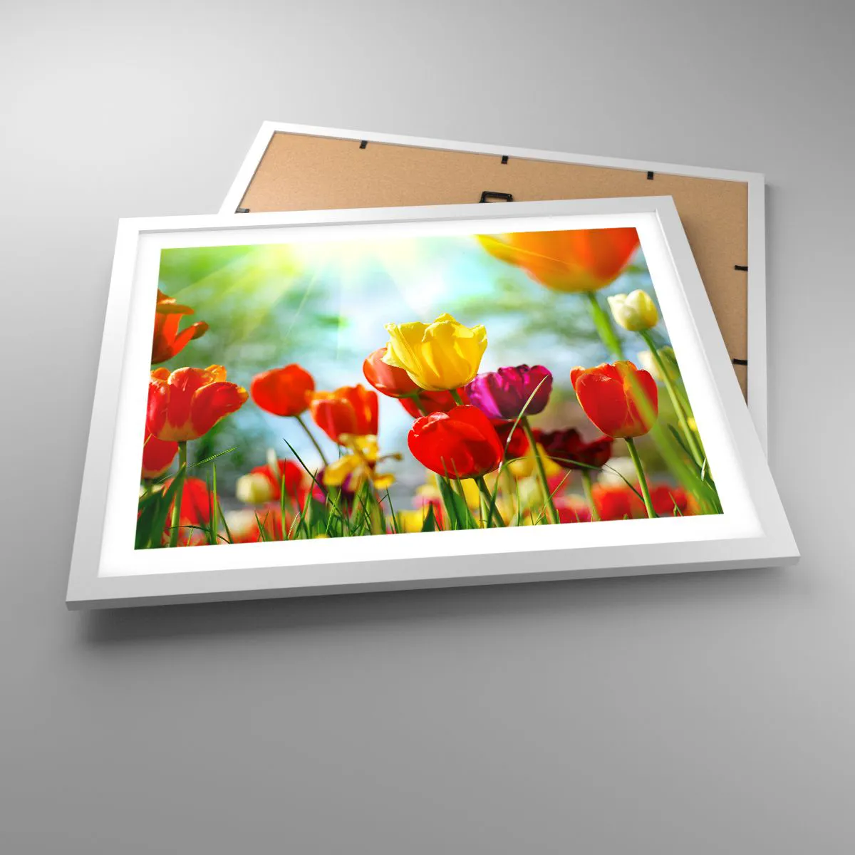 Poster in white frmae - All Colours of the Sun - 50x40 cm