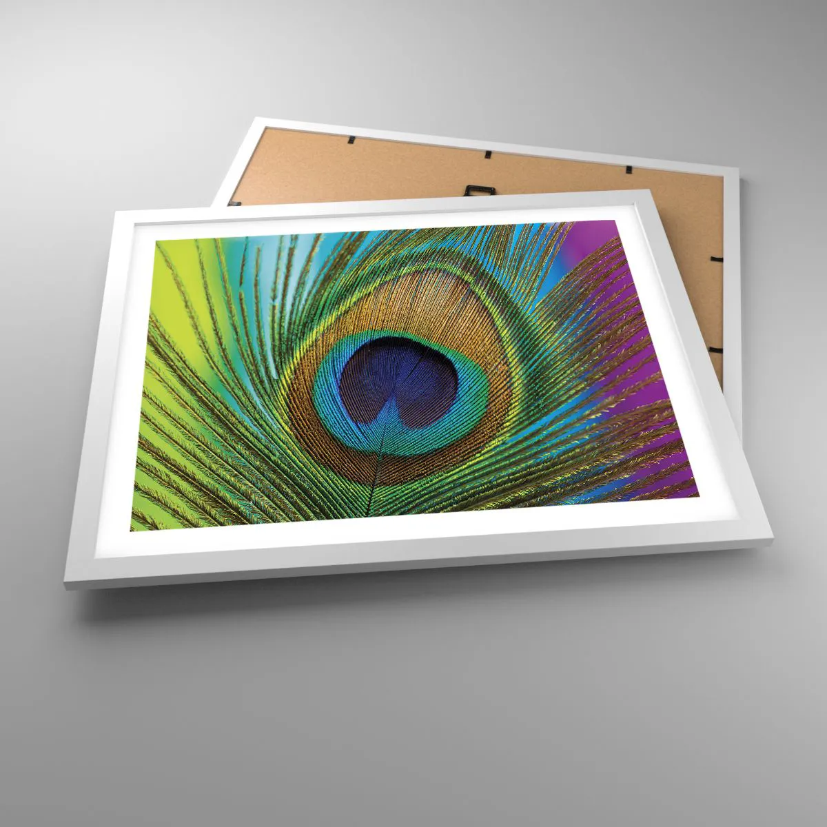 Poster in een witte lijst - Oog in oog - 50x40 cm