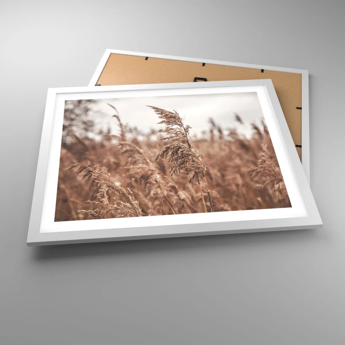 Poster in einem weißen Rahmen - Auf den Feldern ist es schon Herbst - 50x40 cm