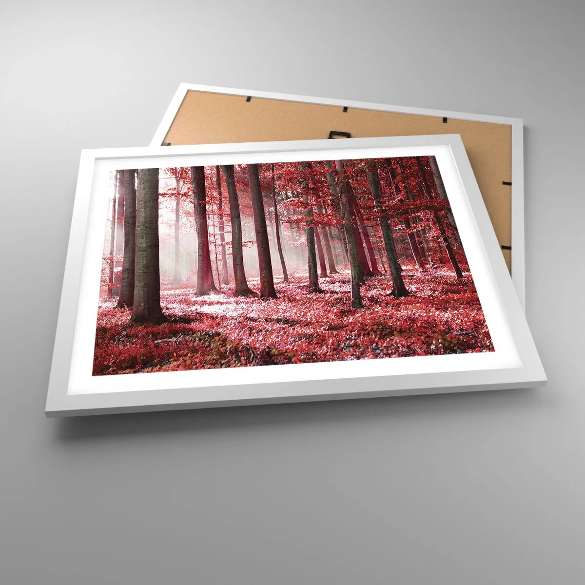 Affisch i vit ram - Röd är lika vacker - 50x40 cm