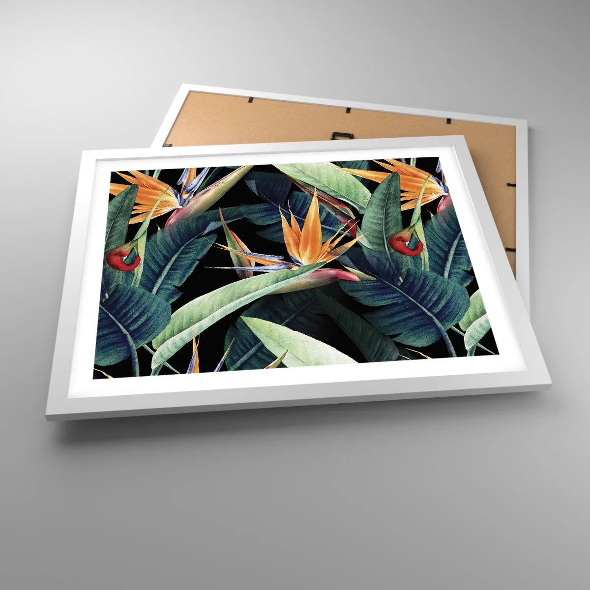 Pôster em moldura branca - Flores ardentes dos trópicos - 50x40 cm