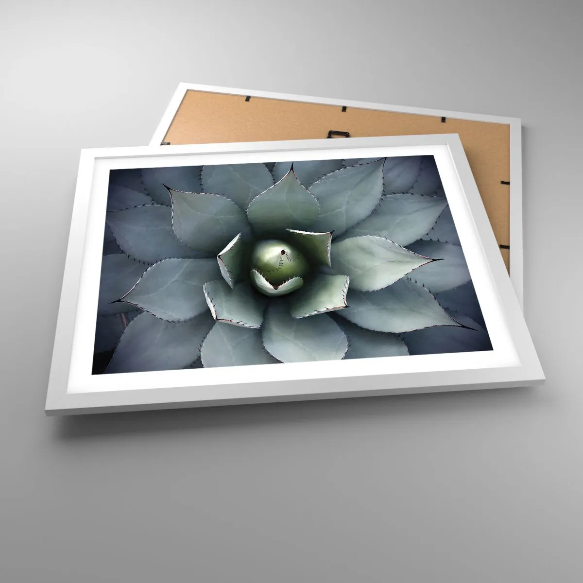 Plakát v bílém rámu - Svádí a varuje - 50x40 cm