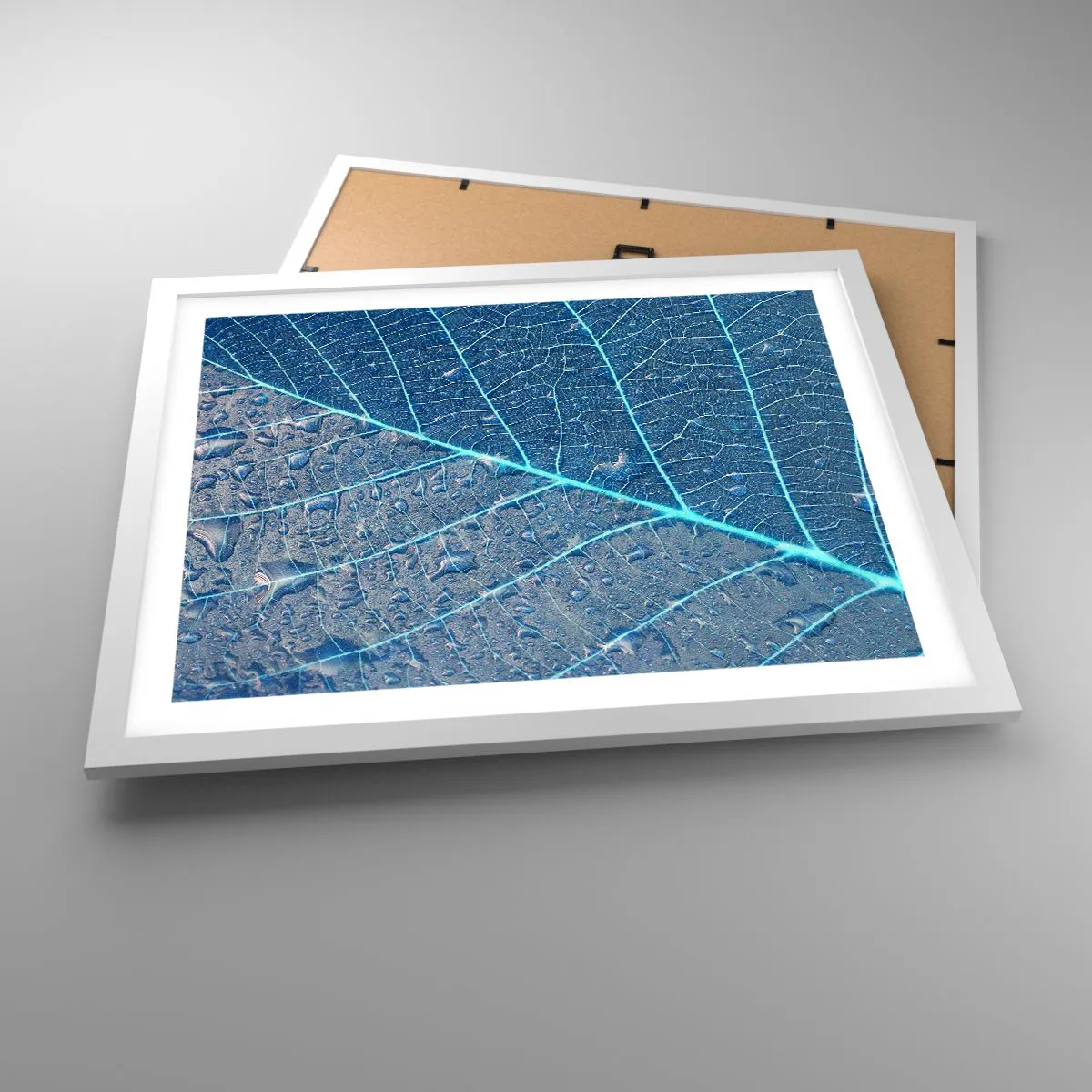 Poszter fekete keretben - Az élet kékben - 50x40 cm