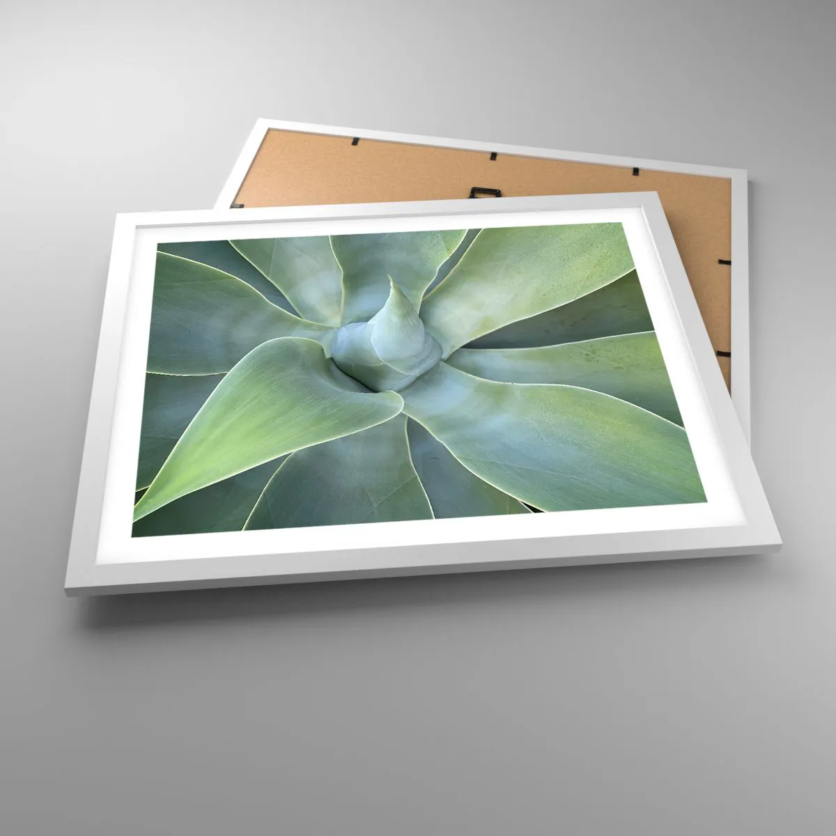 Póster en marco blanco - El nacimiento del verde - 50x40 cm