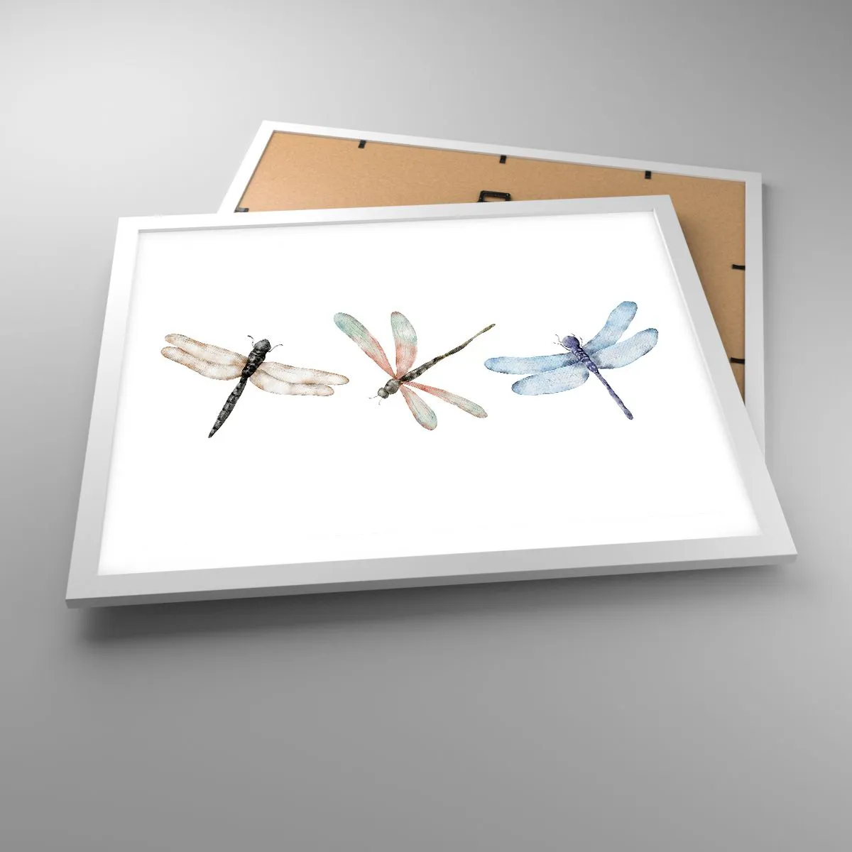 Affisch i vit ram - Viktlösa trollsländor - 50x40 cm