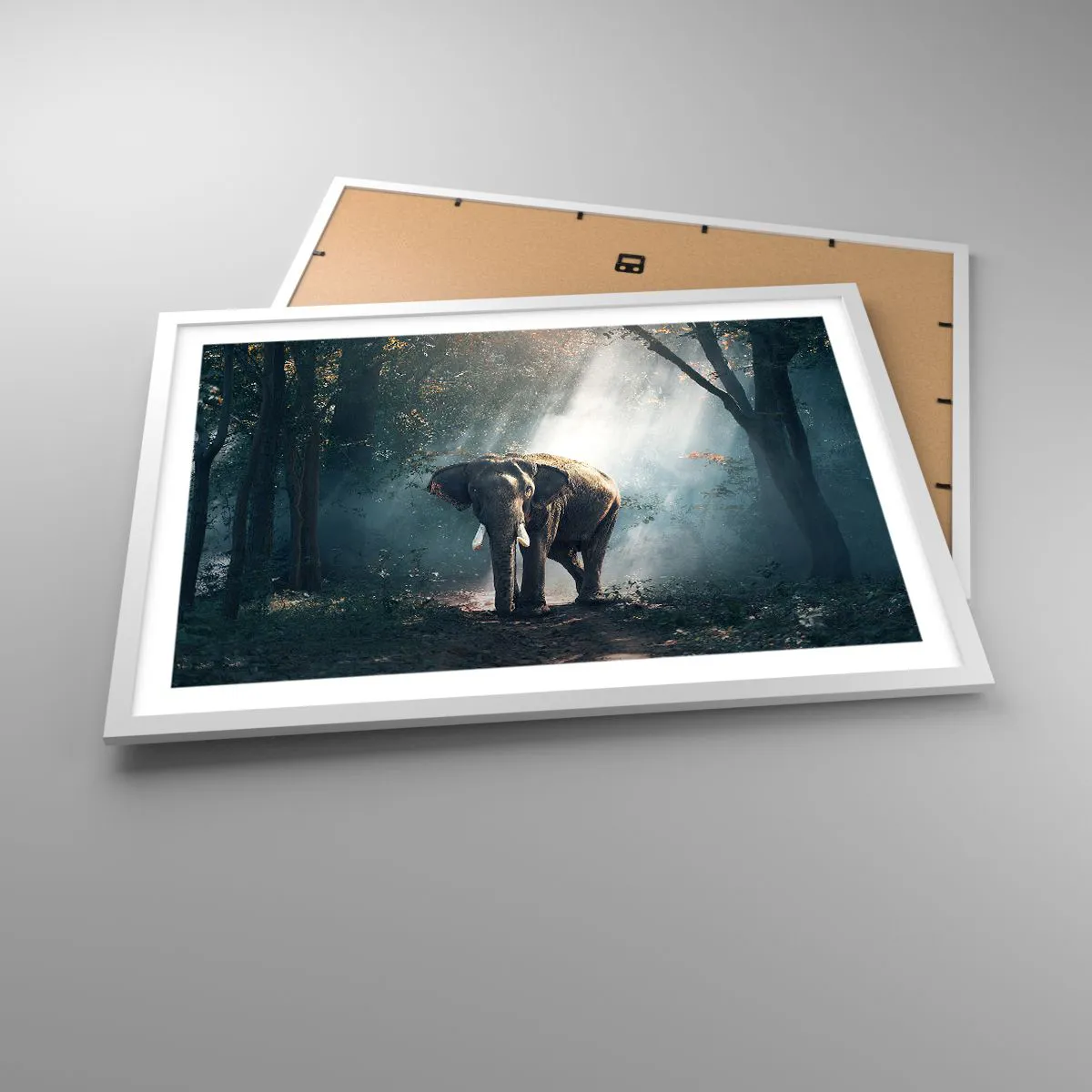 Pôster em moldura branca - Um passeio descontraído - 70x50 cm