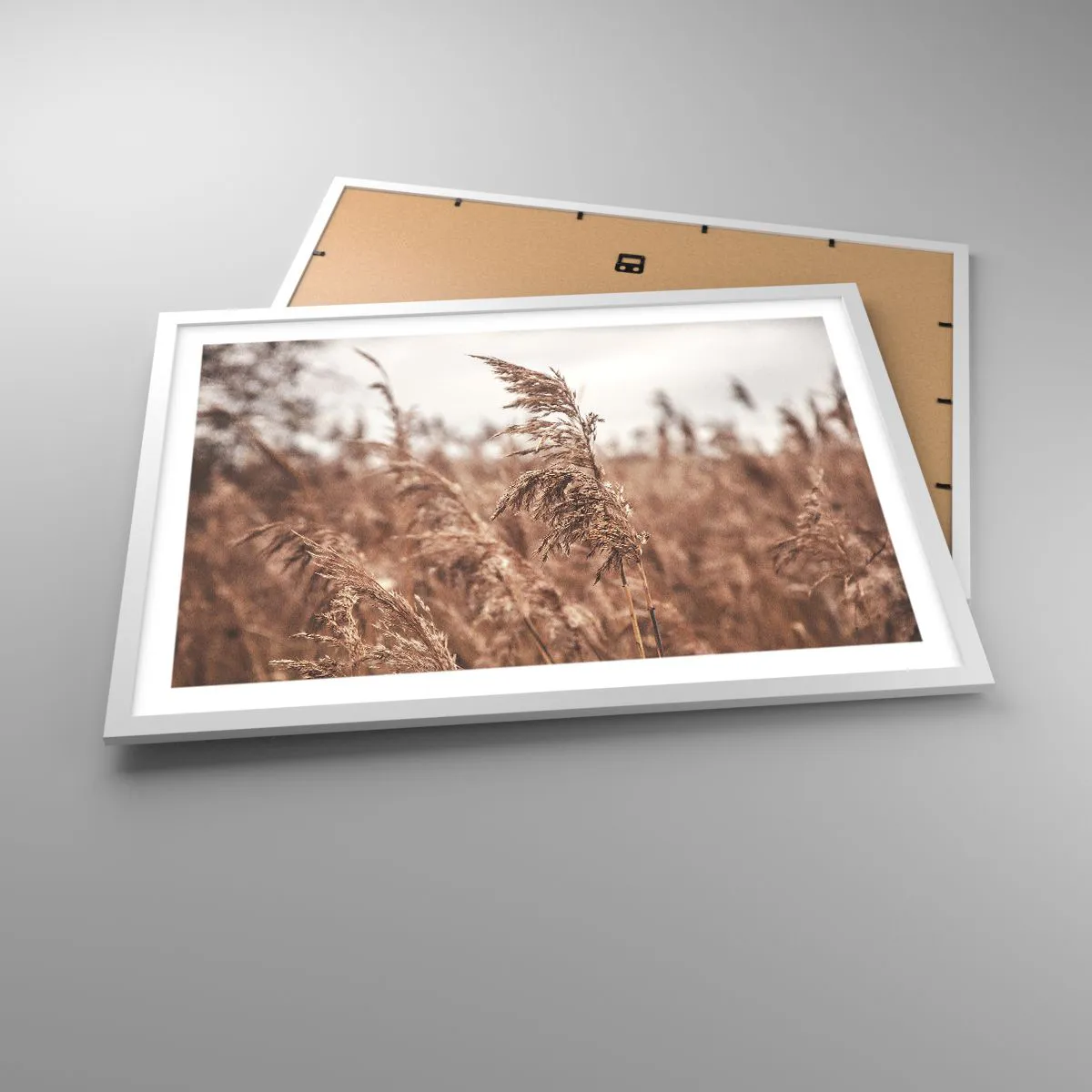 Poster in white frmae - Autumn Has Arrived in the Fields - 70x50 cm