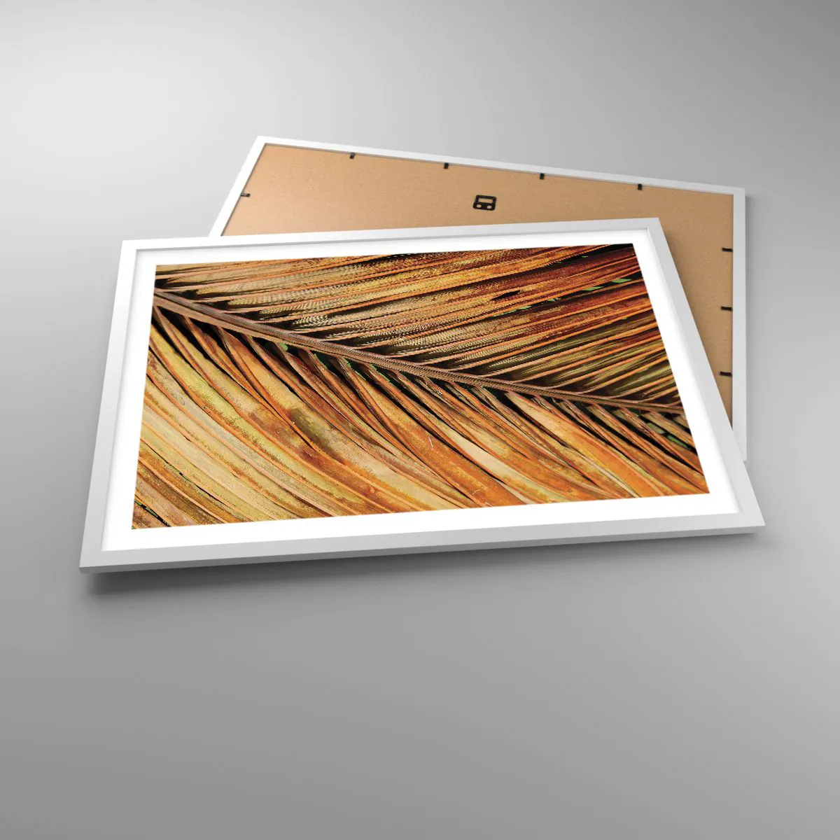 Poster in cornice bianca - Oro di cocco - 70x50 cm