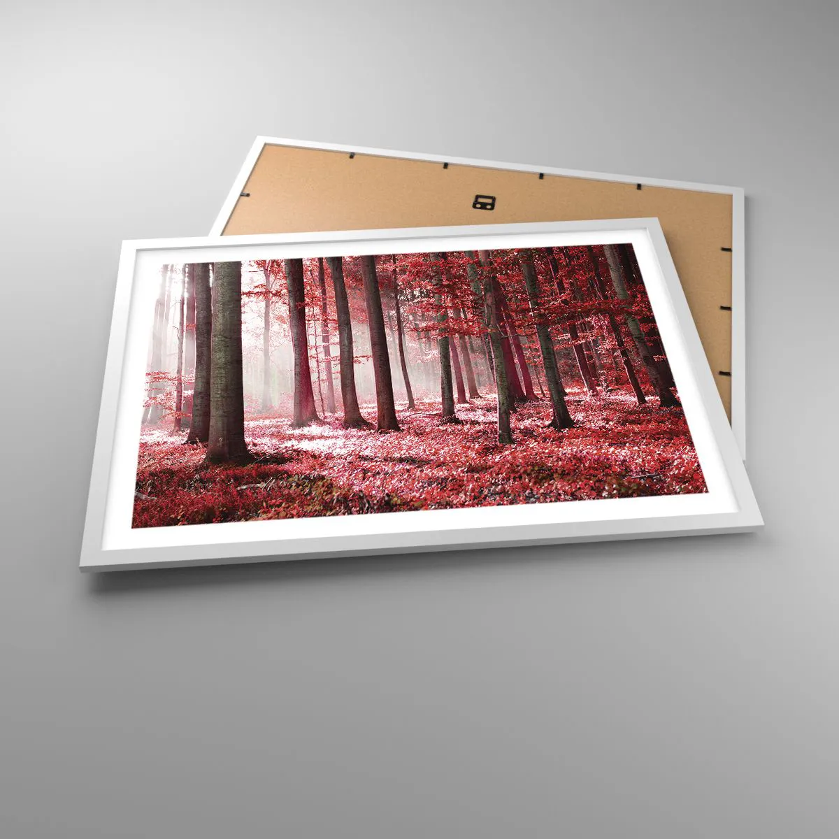 Affisch i vit ram - Röd är lika vacker - 70x50 cm
