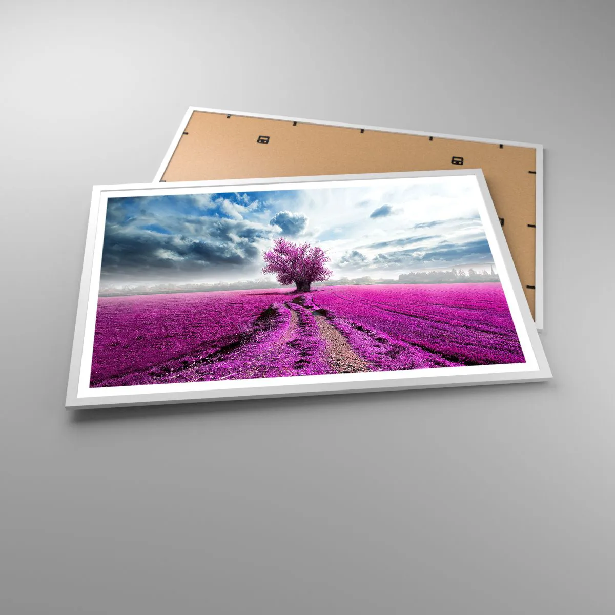 Affiche dans un cadre blanc - Poster - Lande - nature sauvage - 91x61 cm