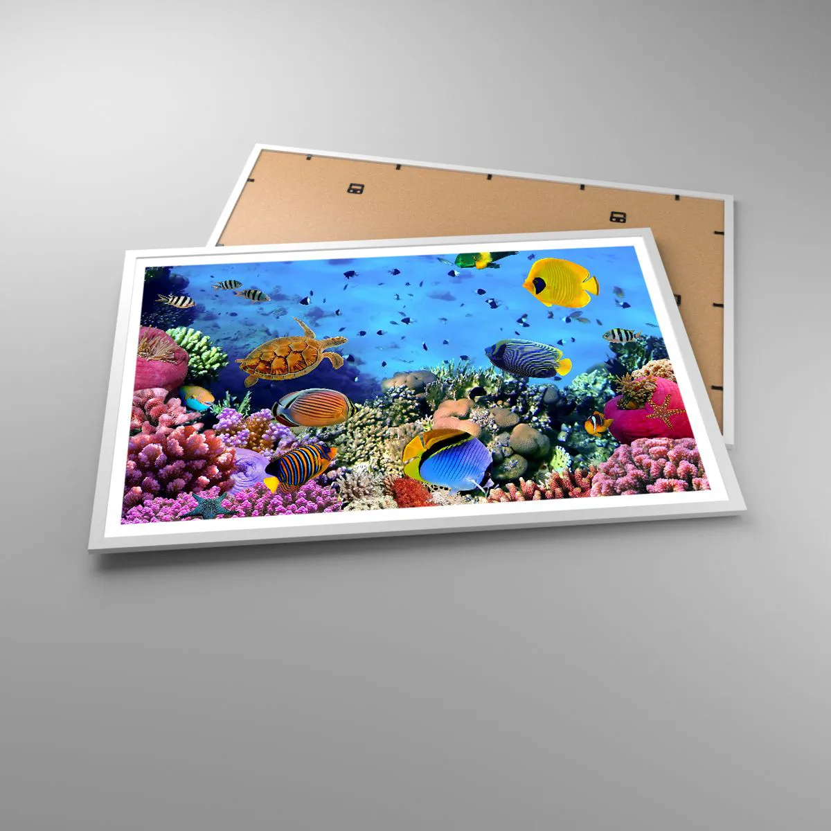 Poster in white frmae - What Do We Know about Life? - 91x61 cm