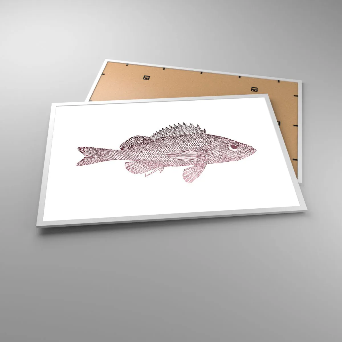 Plakat w białej ramie - Ryba wielkooka - 91x61 cm