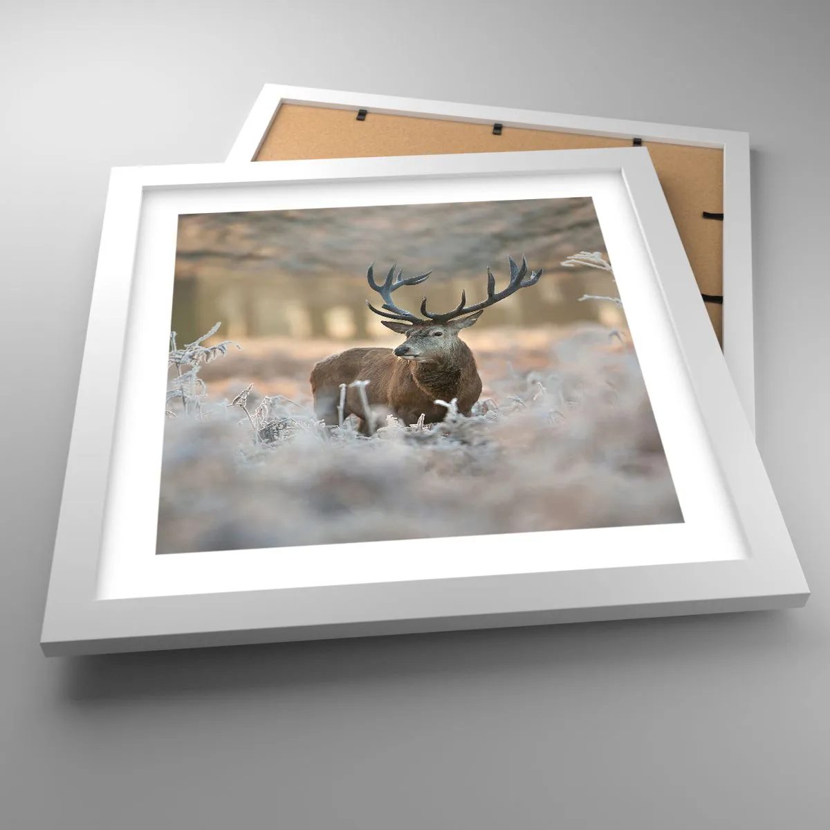 Poszter fekete keretben - Friss reggel - 30x30 cm