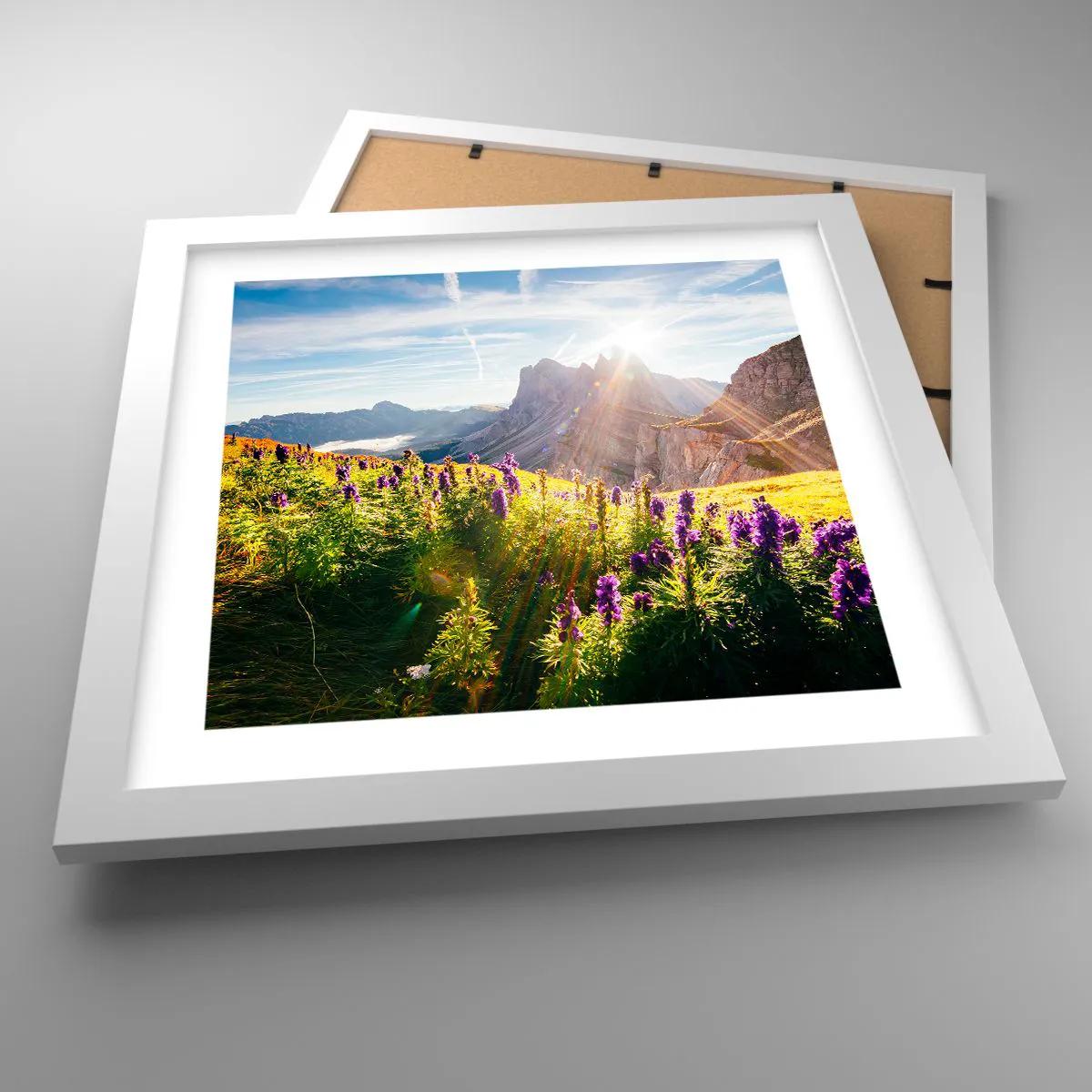 Plakat w białej ramie - Sekretne życie ziół - 30x30 cm