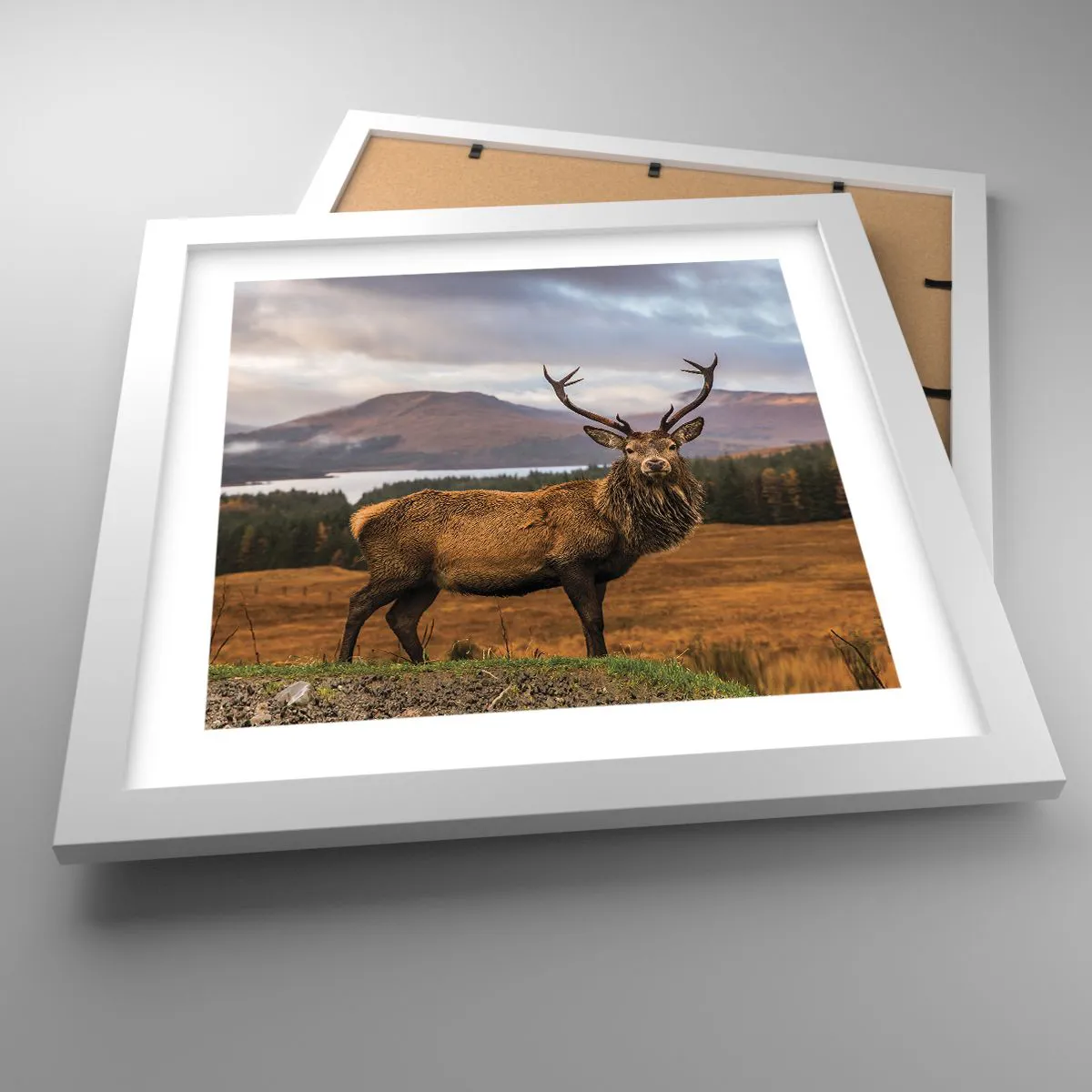 Plakat w białej ramie - Majestat natury - 30x30 cm