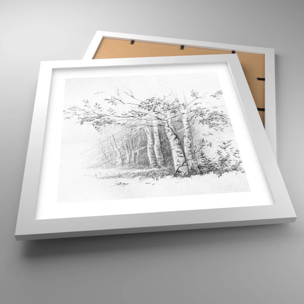 Poszter fekete keretben - A nyírerdő fénye - 30x30 cm