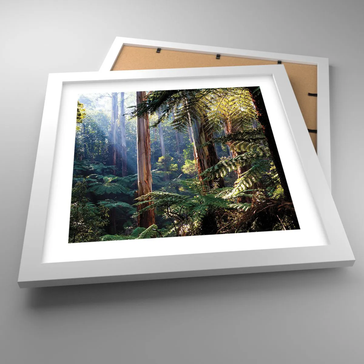 Affiche dans un cadre blanc - Poster - Fable de la forêt - 30x30 cm