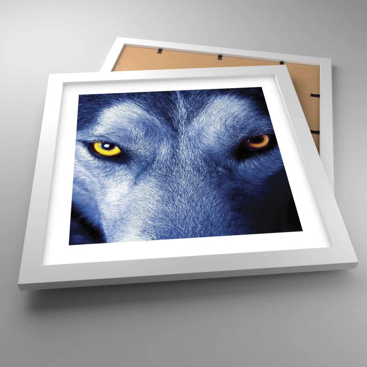 Affisch i vit ram - Hypnotiserade titt - 30x30 cm