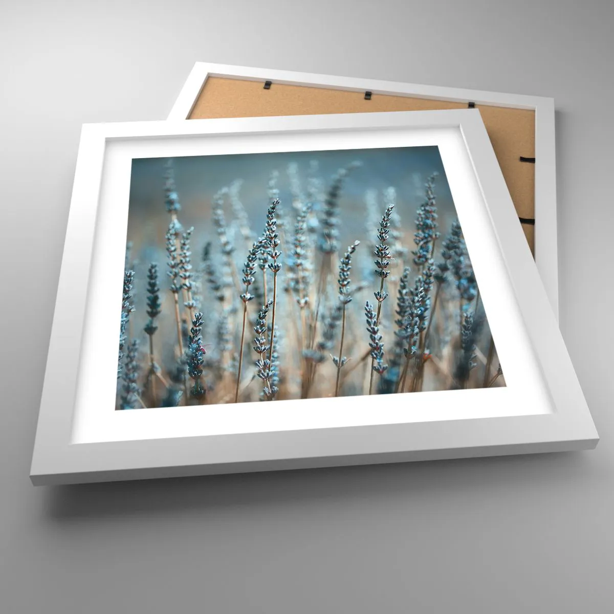 Poster in einem weißen Rahmen - Duftendes Kornfeld - 30x30 cm