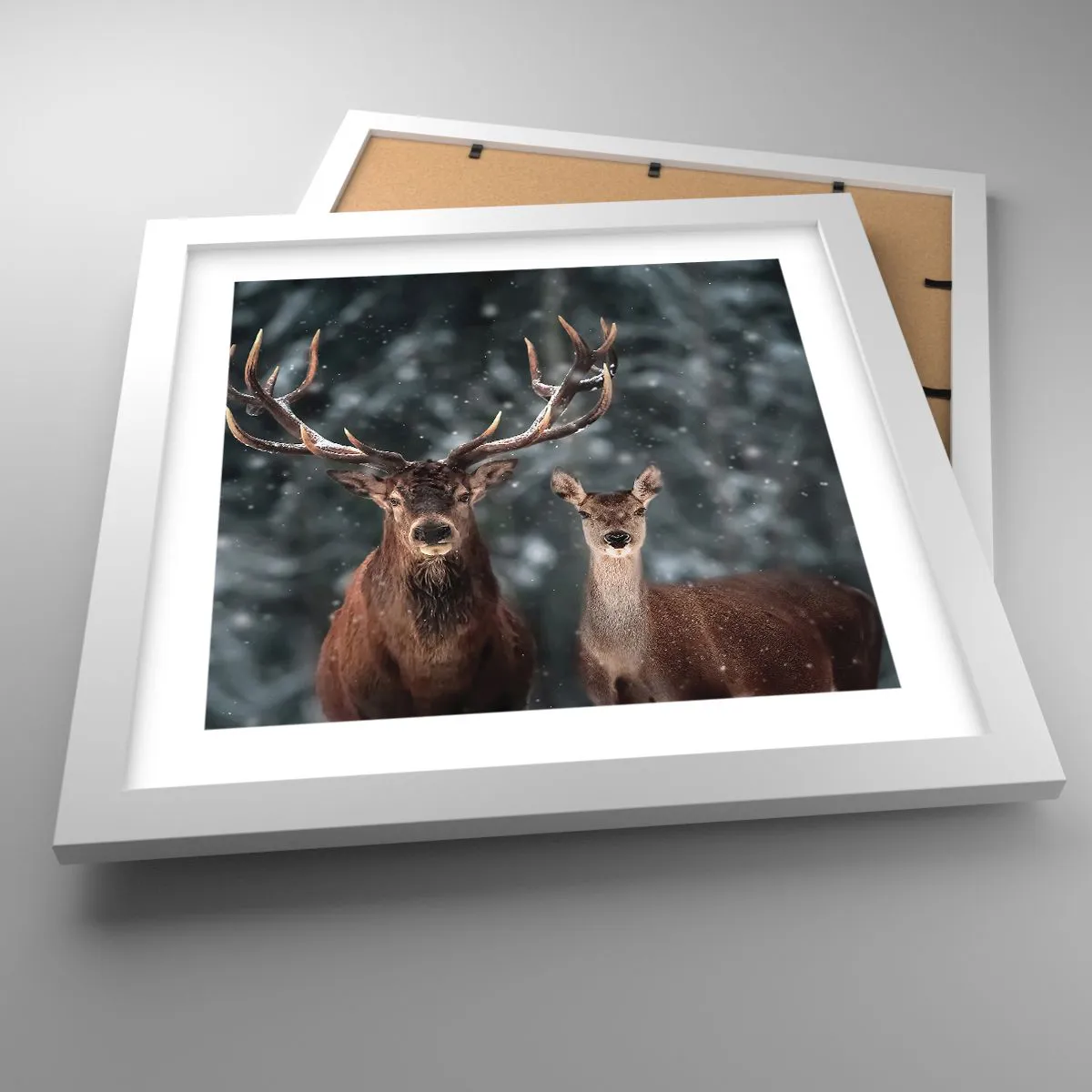 Poster in einem weißen Rahmen - Herr des Waldes mit seiner Frau - 30x30 cm